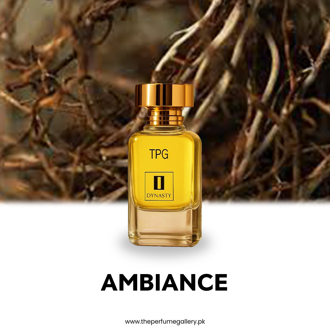 Ambiance – 50ML - Perfume, Impression of Aventus Absolu